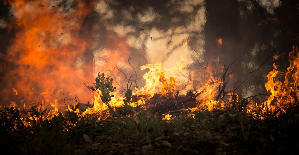 Scopri di più sull'articolo Ambiente, Geologia e dintorni, Rischi Incendi boschivi, una devastazione del territorio italiano