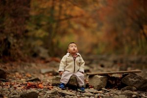 Scopri di più sull'articolo Piantare  alberi per ogni bambino che nasce.