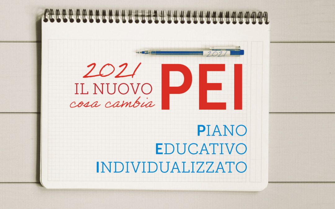 Al momento stai visualizzando IL NUOVO PEI E IL TAR… PER UNA SCUOLA INCLUSIVA